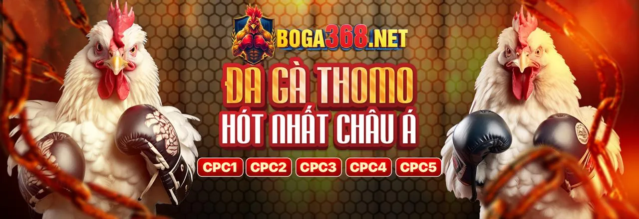 Đá Gà Trực Tuyến JW388 Link Mới 2026